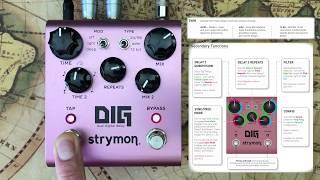 Strymon DIG Dual Digital Delay STEREO (No Talking)