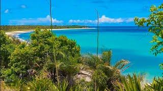 As Praias Mais Lindas Do Litoral Sul De Pernambuco