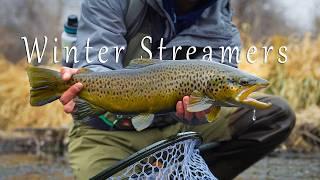 Utah Fly Fishing | The Art of Streamers!