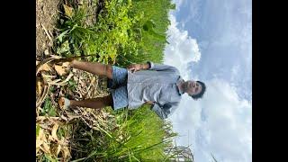 A day in Jhoom with family #jhoomvlog #adaywithfamily #tripura #naturelovers