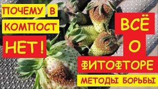 ФИТОФТОРУ НЕ УБЬЕШЬ !!! ОСТАЛЬНОЕ - ЭТО ЛОЖЬ !! МОЖНО ТОЛЬКО ПРИГЛУШИТЬ ! НАУЧИСЬ ТЫ С НЕЙ ДРУЖИТЬ !