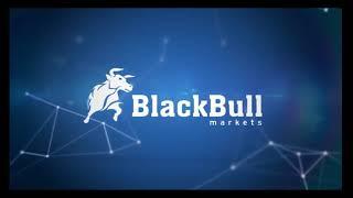 Blackbull Markets Review 2022 – Is it a good broker?