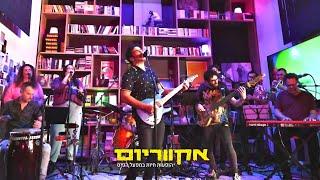 אקווריום - גיא מזיג | הופעות במפעל הפיס