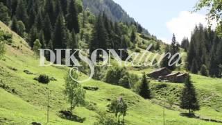 Dikson Natura натуральная линия для волос Косметики Диксон