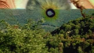 Glue Sniffer - Sunrise Cloud Collective