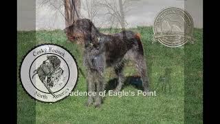 Cadence of Eagle's Point