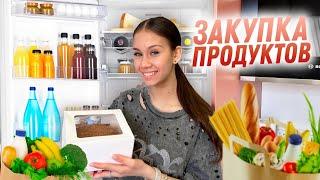 ЗАКУПИЛАСЬ ПРОДУКТАМИ на День РОЖДЕНИЯ 