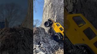 Axial scx24 jeep wrangler jlu 1/24 micro rc crawler #rc #rccrawler #axial #scx24 #jeep #tree #4k