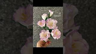 Эустома, eustoma flowers #art #love #music #artist #flowers #orchidpots