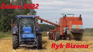 Ryk BizonaCzyli Żniwa 2022 w GrBurszowscyBizon Z056 w akcji i New Holland TD5Król Polskich pól