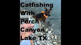 Catching Catfish with Perch Canyon Lake Texas