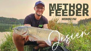 Ostatni dzień lata czyli prawie jesienny Method Feeder