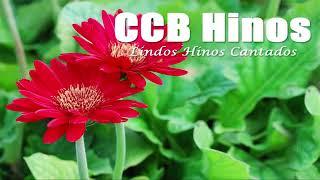 CCB Lindos Hinos Cantados   221, 41, 01, 42, 02, 320, 131, 44, 190, 361, 190, 09, 376, 45, 84, 203