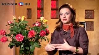 Наталья Толстая психолог.Как  изменить свою жизнь? Законы цвета