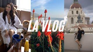 LA IN DEC VLOG | EPIONE BEVERLY HILLS, CALABASAS, & LAGUNA BEACH IN 11 DAYS *SOLO*