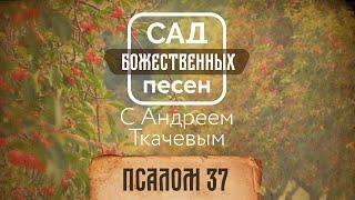 Сад божественных песен — Псалом 37 – отец Андрей Ткачёв