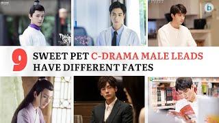 Top 9 Sweet Pet Chinese Drama Male Leads Have Different Fates | Đu Idols