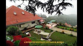 Rent 8 Bedroom Family Cottage in Shimla for rent