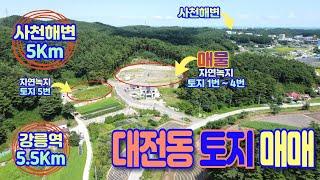 [강릉/토지/매매] 주택지로 추천하는 전망시원하고 따듯한 남향토지 매매 5필지(3.3㎡당 약 75만원부터)