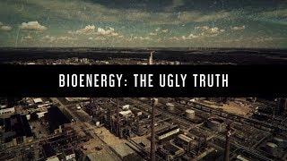 Bioenergy: The Ugly Truth