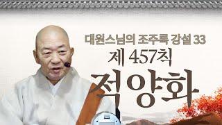 |대원스님|33.버들꽃을 따고 버들꽃을 땄구나-조주록강설