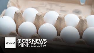 Egg prices are up again in Minnesota