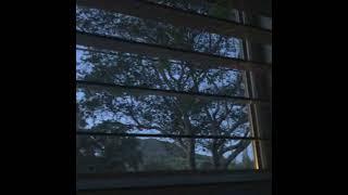 [free] indie folk acoustic type beat (no drums) - "desperate"