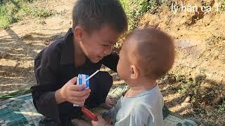 A poor orphan boy built a miserable bamboo house and harvested acorns to sell