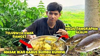 BERBURU IKAN GABUS BABON DI SAWAH