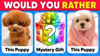 Would You Rather...? MYSTERY Gift  ANIMALS Edition