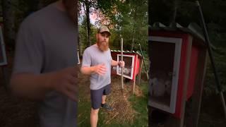 My best advice for homesteading 