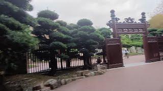 NAN LIAN GARDEN | DIAMOND HILL HONGKONG