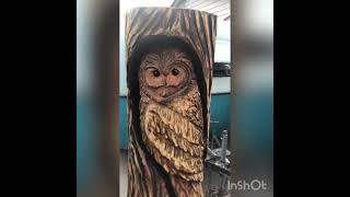 #art  Shuswap Chainsaw Carvings Sicamous BC #shorts #carving #spring #viralvideo #foryou on FB