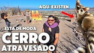 LA PAZ BCS esta de Moda  Cerro atravesado a lo conoces?