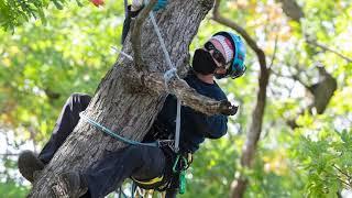 Arboriculture