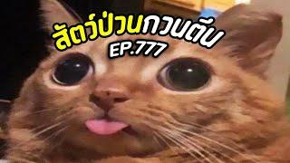 สัตว์ป่วนกวนนตีนน EP.777 (พากย์นรก)