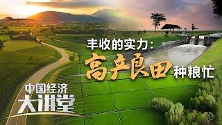 中国高标准农田“高”在哪？普通农田如何变成高标准农田？「中国经济大讲堂」20241215 | 财经风云