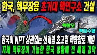 한국이 NPT 상관없는 신개념 초고열 핵융합로 개발 l 자체 핵무장이 가능한 한국 상황에 전 세계 경악