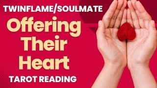 An Offering ️ TwinFlame Soulmate Tarot Reading