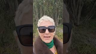 ונוס ונוס אהבה יחסים וכספים #טליסיני #פסיכותרפיה # אסטרולוגיה  ריטריט #אהבה