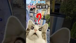 배달라이더 맛탱이 가는 상황~#배민커넥트 #배민 #쿠팡 #조리대기#automobile #motovlog