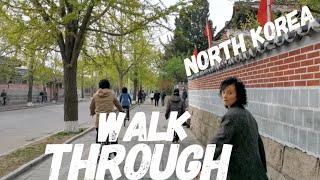 Walking through North Korea (Walk in North Korean Countryside & Pyongyang) | 2022