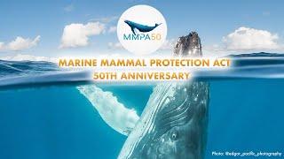 #MMPA50: Celebrating 50 Years of the Marine Mammal Protection Act