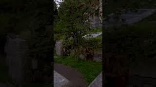 Mountaineer Cemetery Zermatt Switzerland4K  #switzerland #travel #zermatt