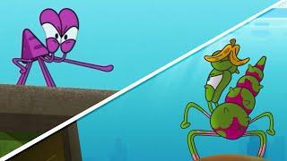 The Adventures of Bernie | Neighbor Trouble (S01E06) Zig & Sharko - Cartoons for Kids