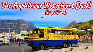 The Waterfront Duck, Cape Town! S1 – Ep 535