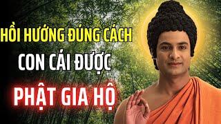 HỒI HƯỚNG ĐÚNG CÁCH - CON CÁI ĐƯỢC PHẬT GIA HỘ - CÁCH HỒI HƯỚNG SAU KHI NIỆM PHẬT NÊN NGHE 1 LẦN