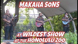 Makaha Sons at Honolulu Zoo Wildest Show July 10, 2024 Hawaiian Music