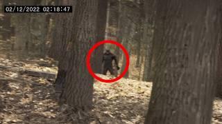 1 Hour of CREEPIEST Bigfoot Encounters Caught on Camera