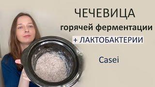 Зелёная чечевица двойной ферментации. Вкусный и довольно простой рецепт.